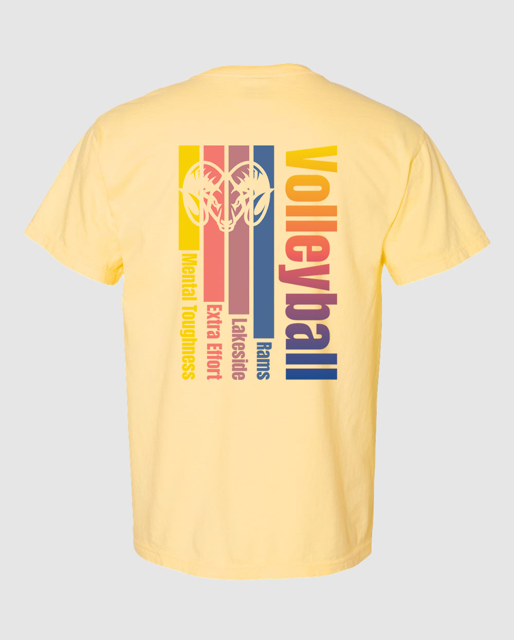 Volleyball Rainbow